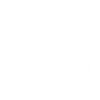 Esquisse du renard blanc