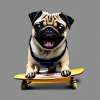 Mops auf Skateboard AICF 2