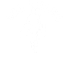 Ultralauf Ultramarathonläufer Marathonläufer Gesch
