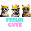 Cute Cat