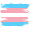 Transsexual Flag Transgender Pride Flag