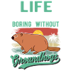 Marmot Groundhog Day Woodchuck