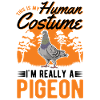 Pigeon costume pigeon fancier Halloween