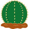 Cactus N°3