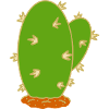 Cactus N°7
