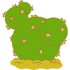 Cactus N°4