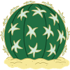 Cactus N°2