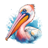 Joli design pélican aquarelle