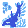 Underwater :d olphin