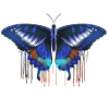 Butterfly,Angelwings,Wings,Angel