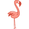 Cute flamingo bird