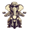 Elephant on motorcycle