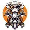 Hund auf Motorrad