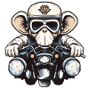 Affe auf Motorrad