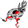 Schädel