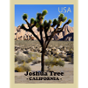 Joshua Tree National Park