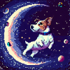 SpaceDog