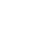 Tulips Tulips
