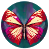 Abstract Butterfly - Illustration