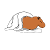 Sleeping Sleep Shirt Tired Capybara