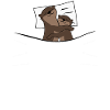 Sleeping Sleep Shirt Tired Otter