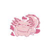 Axolotl