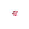 Axolotl