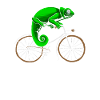 Chameleon Chameleon Bike