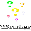 wonder