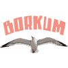 Borkum Seagull
