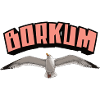Borkum Seagull