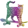 Skating Cat