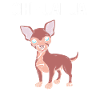 Chihuahua Anatomy