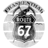 Frankenthaler Route 67