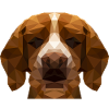 Beagle Dog Polygon