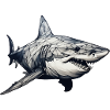 Shark geometrical drawing 1