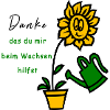 Sonnenblume, Garten, Danke