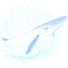 Big whale