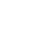 Small lion