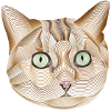 Katze Gesicht