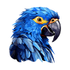 Hyacinth Macaw