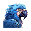 Hyacinth Macaw