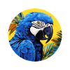 Hyacinth Macaw