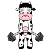 Cow Fitness Motivation Gym Gift