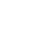 Game Developer