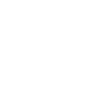 Lacrosse Players