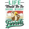 Ferret Lover Ferret Gift