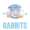 Lapin lapin lapin lapin