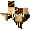 Texas Leopard Denim Map