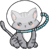 Cosmic Cat